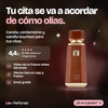 French Avenue Liquid Brun original y sellado: Tu cita se va a acordar de cómo olías.