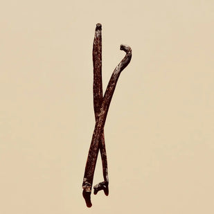 Haba tonka, vainilla y maderas